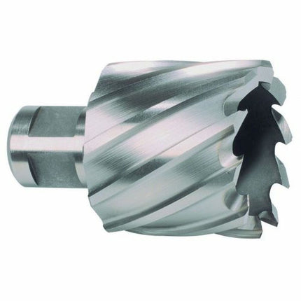 Collection image for: Elektrisch gereedschap