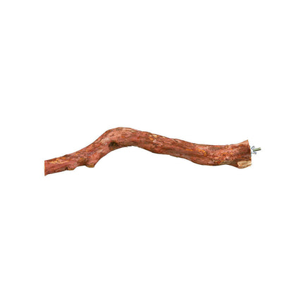 Collection image for: Baarzen