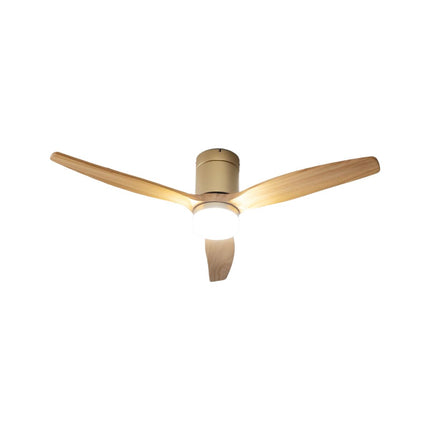 Collection image for: Plafondventilatoren met Lamp