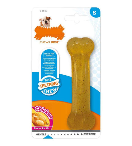 Small Nylabone dog chew toy made of thermoplastic in chicken flavor for puppies, suitable for teething and dental health.