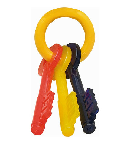Nylabone multicolour bacon dog chew toy with key-shaped design for medium to large dogs, durable and colorful pet product.