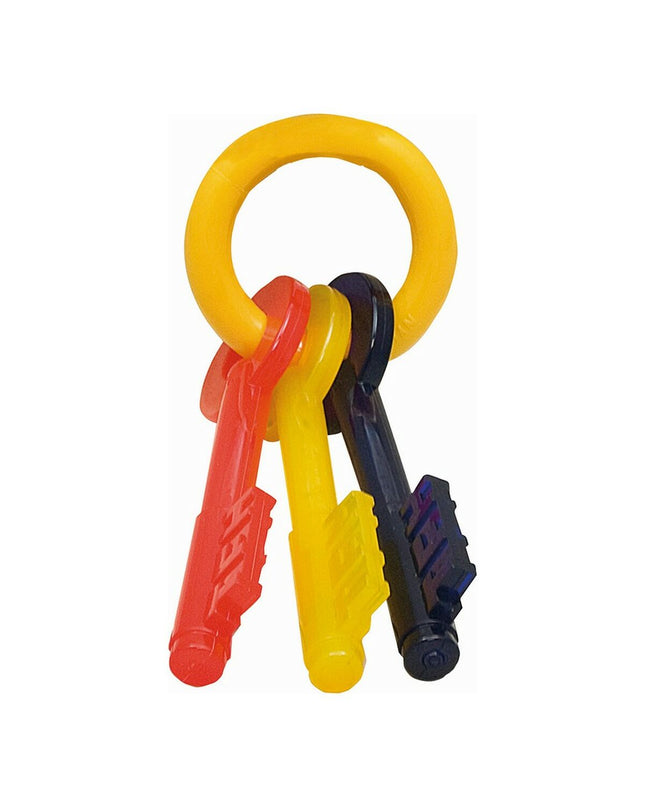 Nylabone multicolour bacon dog chew toy with key-shaped design for medium to large dogs, durable and colorful pet product.