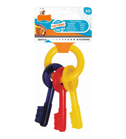 Nylabone multicolour bacon dog chew toy with key-shaped design, suitable for medium large dogs, durable pet dental treat