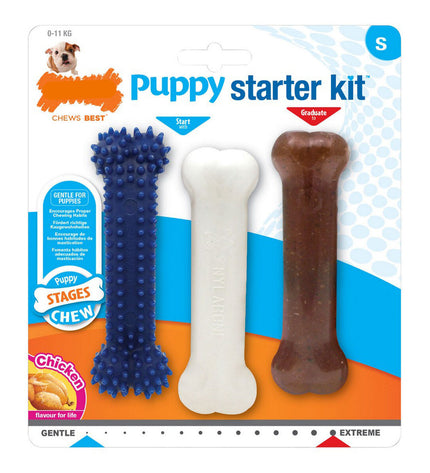 Nylabone Extreme Chew Starter Kit for puppies with kip-flavored nylon dog toys, includes three durable chew items for puppies.