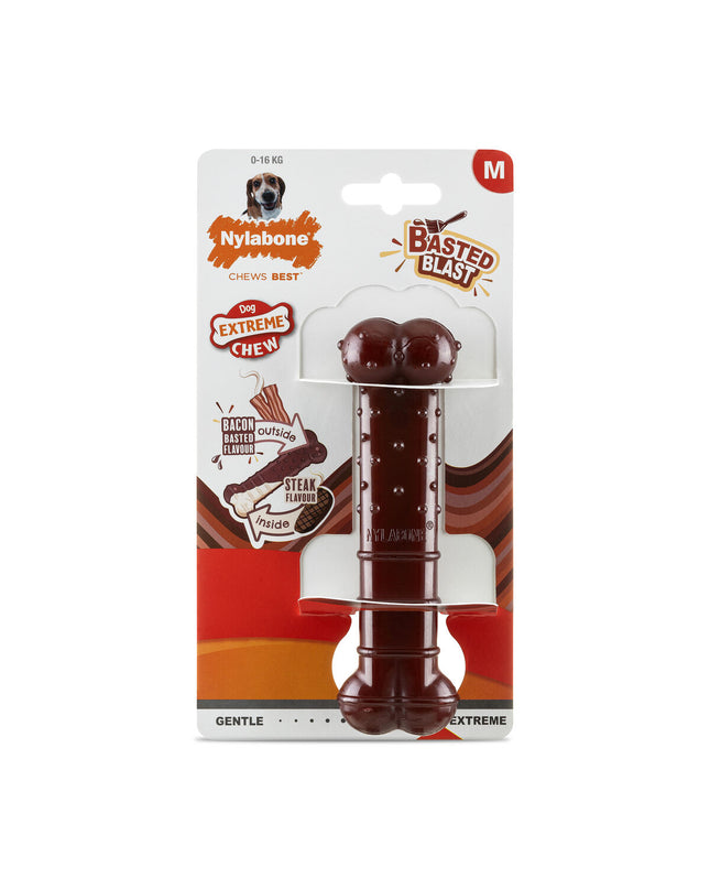 Nylabone Bruin Bacon dog chew toy for medium-sized dogs, durable nylon pet product for canine dental health and entertainment
