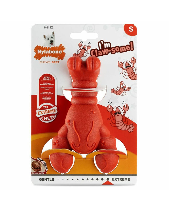 Red Nylabone dog chew toy made of synthetic material with beef flavor, designed for canine dental health and enrichment.