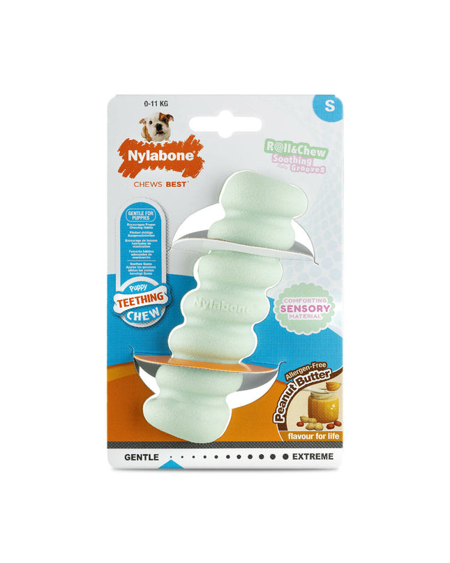 Nylabone sensory tactile stick dog chew toy in green peanut butter bacon flavor, made for dogs, showing textured surface and brand logo.