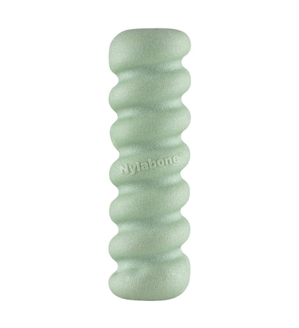 Nylabone sensory tactile stick dog chew toy in green with peanut butter and bacon scent, designed for dogs to chew and play.