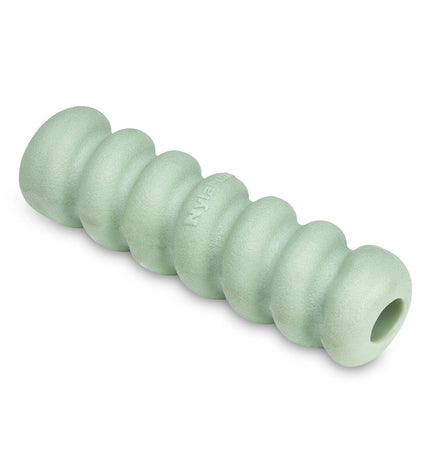 Nylabone Sensory Tactile Stick dog chew toy in green with peanut butter and bacon scents, designed for dogs to chew and explore.