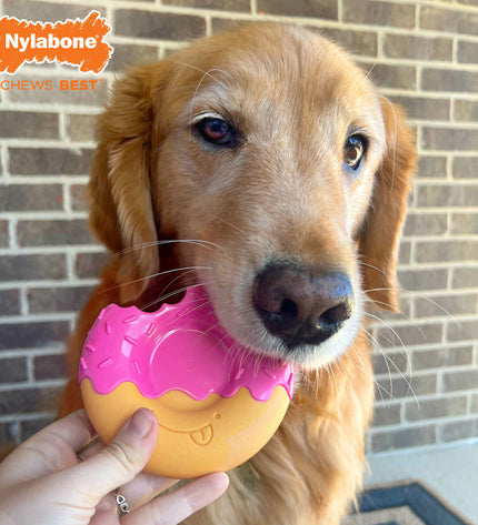 Pink Nylabone dog chew toy with bacon flavor, designed for dogs to chew and play.
