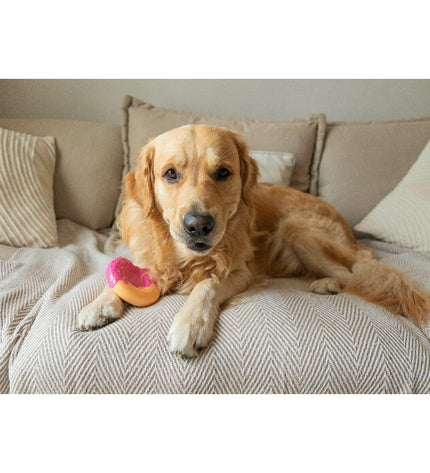Pink Nylabone dog chew toy with bacon flavor, designed for dogs to chew and play.