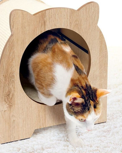 V2H586AF7012929F7C555FAECCD7949DC65R7469576P3