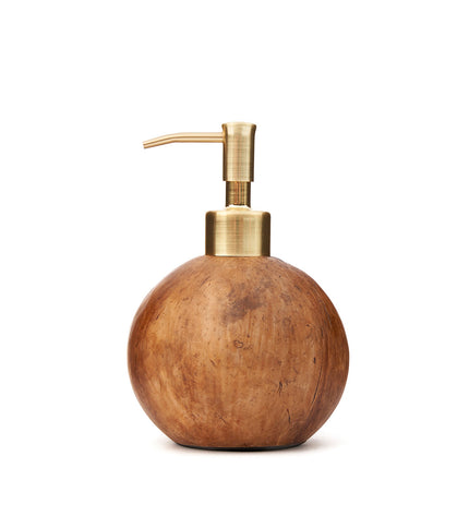 The Coconut Soap Dispenser