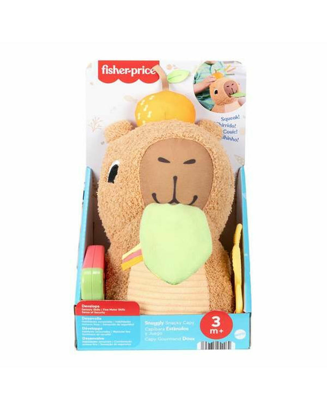 Fisher-Price educational toy for children, colorful playset measuring 16x19x25 cm with engaging game accessories.