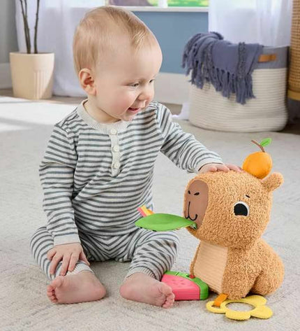 Colorful Fisher-Price educational toy for children, featuring various shapes and interactive elements in a 16x19x25 cm size.