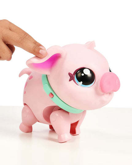 V3HC1CC83B5405339C80EE009324509645CR6623467P9