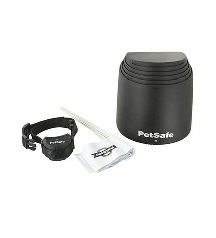 PetSafe Stay & Play anti-theft device for dogs, showing a compact pet tracking device on a dog collar.