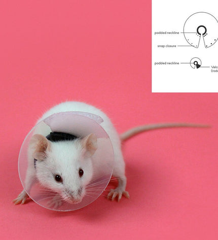 KVP transparent hamster collar for small animals, adjustable 7.5-10 cm, lightweight plastic pet accessory.