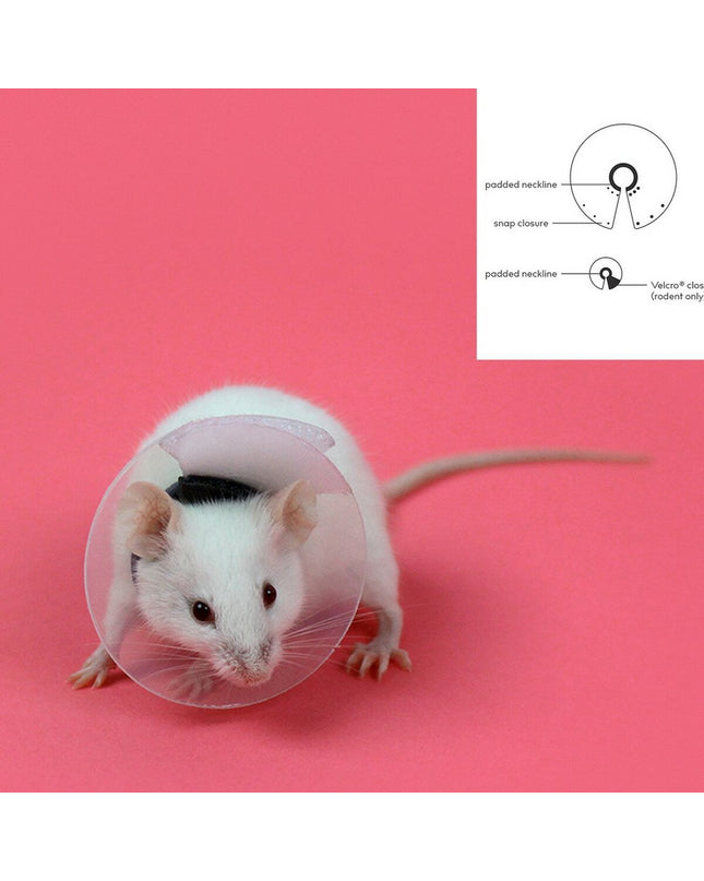 KVP transparent hamster collar for small animals, adjustable 7.5-10 cm, lightweight plastic pet accessory.