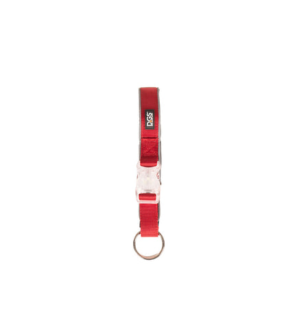 Dog Gone Smart red dog collar with 20 LED lights, designed for visibility and safety during nighttime walks.