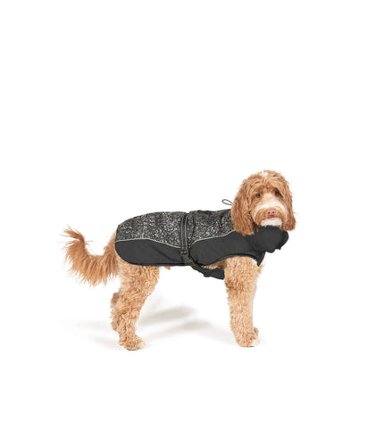 Black Dog Gone Smart dog jacket for 45 cm dogs, featuring waterproof and insulated fabric, designed for outdoor protection.
