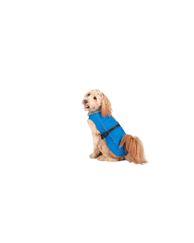 Blue Dog Gone Smart raincoat for dogs, 35 cm, designed to keep pets dry during rainy weather.