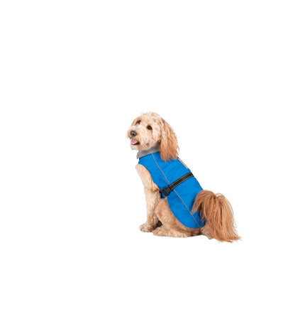 Blue Dog Gone Smart raincoat for dogs, 60 cm, waterproof dog rain jacket with reflective details, designed for outdoor protection.