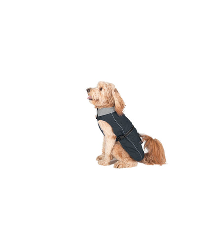 Dog Gone Smart black dog raincoat for 55 cm dogs, waterproof and lightweight, designed to keep pets dry during rain.