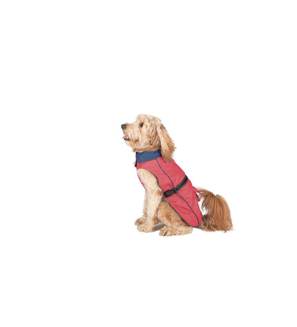 Dog Gone Smart Koraal waterproof dog raincoat for small dogs, 30 cm, lightweight and protective for rainy weather.