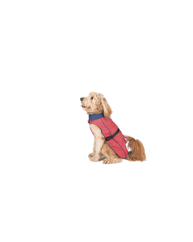 Dog Gone Smart Koraal raincoat for dogs, 50 cm, waterproof dog jacket with bright coral color, designed for outdoor protection.