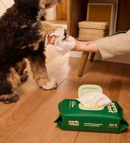 Earth Rated unfragranced pet wipes for dogs, 100-pack, showing soft, moist cloths suitable for cleaning pets.
