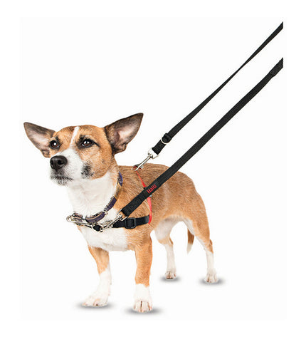 Company of Animals Halti dog harness in black and red, size M (58-86 cm), designed for comfortable control and training.