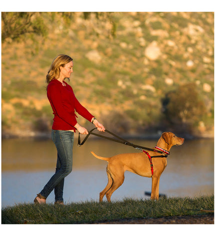 Company of Animals Halti black and red dog harness in size large (80-120 cm), showing adjustable straps and secure clip.
