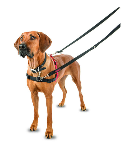 Company of Animals Halti dog harness in black and red, adjustable size L (80-120 cm), designed for comfortable dog walking.