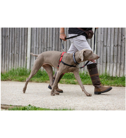 Company of Animals Halti black and red dog harness, size L (80-120 cm), adjustable nylon pet harness for dogs.