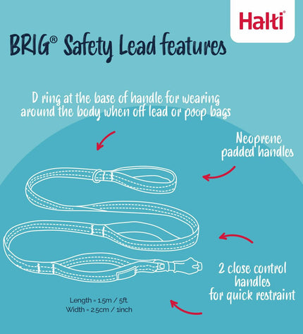 Black Company of Animals HALTI Brig Safety training band for dogs, designed for secure and comfortable control during walks.