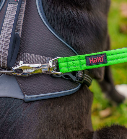 Company of Animals dog harness in size L, durable and adjustable, shown on a medium-sized dog for comfortable walking.