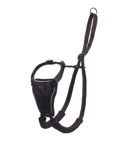 Company of Animals Halti dog harness in size S, adjustable for dogs 26-36 cm, with a black nylon strap and metal buckle.