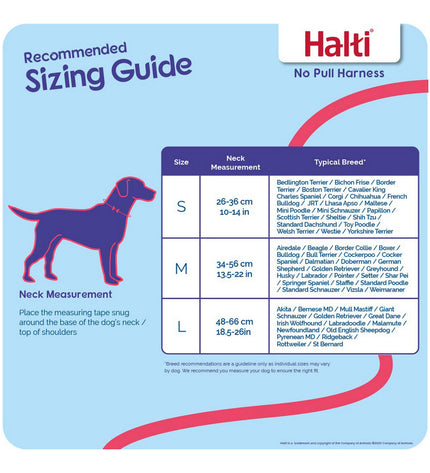 Company of Animals Halti dog harness size S, adjustable black dog harness for medium-sized dogs, 26-36 cm neck circumference.