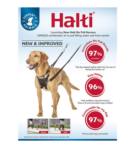 Company of Animals Halti S dog harness in black, adjustable straps with metal clips, designed for secure and comfortable fit.