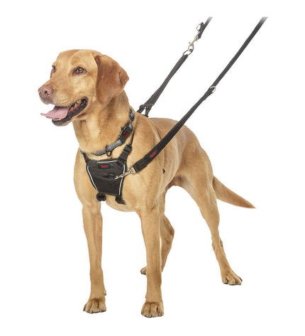 Company of Animals Halti M dog harness in size M, adjustable, with straps and buckles for comfortable fit and control.