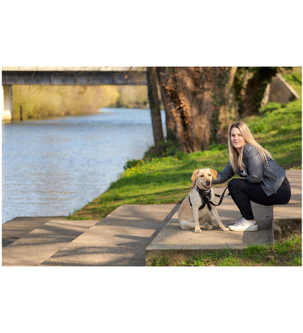 Company of Animals Halti dog harness in size M, adjustable for medium dogs, featuring a padded nylon design with a secure buckle.