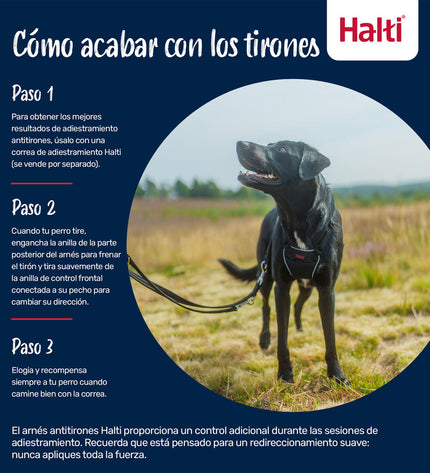 Blue Company of Animals Hondentuigje for dogs, adjustable pet harness with secure buckle and breathable design.