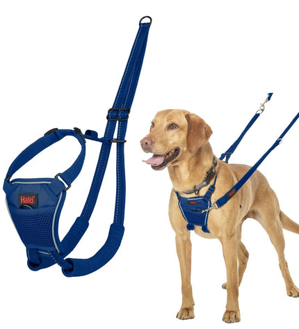 Blue Company of Animals dog harness, cobalt color, lightweight and adjustable, designed for comfortable dog walking.