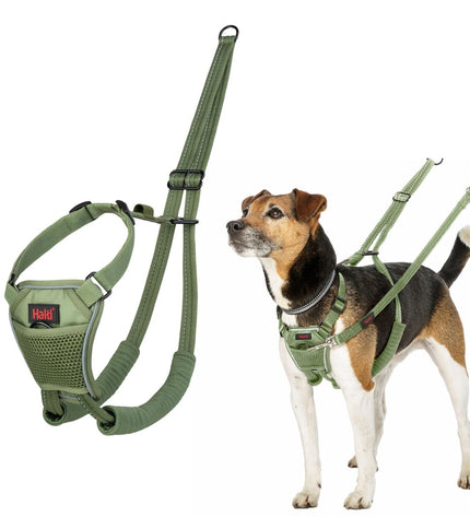 Company of Animals Forest Groen dog harness, green nylon with adjustable straps and metal buckle for comfortable fit.