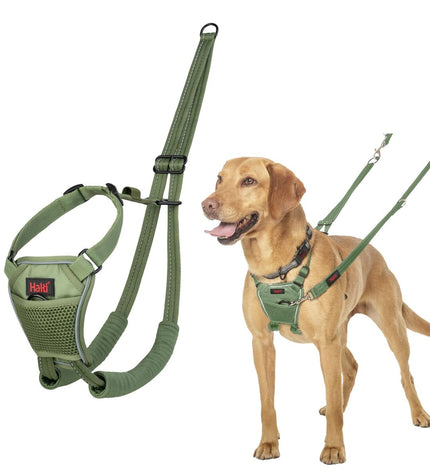 Company of Animals Forest green dog harness, adjustable Hondentuigje for dogs, shown in a natural view.