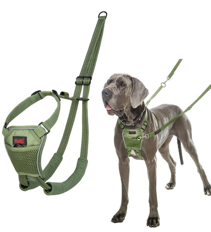 Company of Animals Forest Green dog harness, size large, shown on a dog, made of durable material for comfortable control.