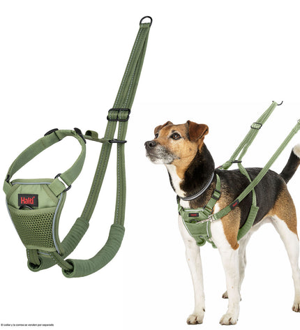 Company of Animals Forest green dog harness, size L, made from durable materials, fits comfortably on medium to large dogs.