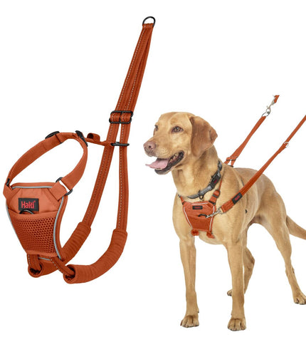 Company of Animals burnt orange dog harness, durable and adjustable Hondentuigje for pets, shown on a dog in the image.