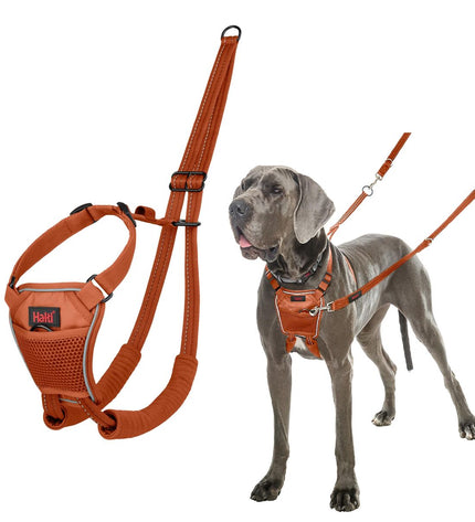 Company of Animals burnt orange dog harness, durable and comfortable, designed for secure fitting and easy control.